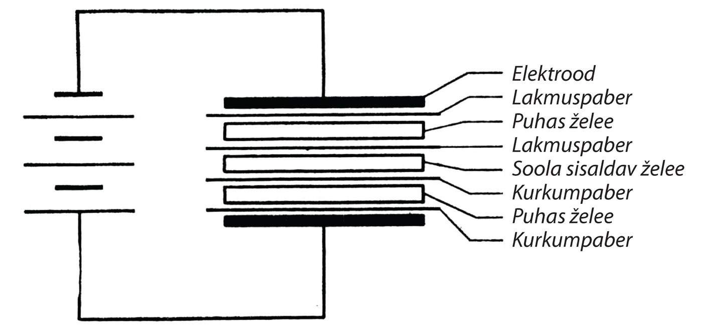 Joonis 38. Faraday elektrolüüsi element, mille abil ta demonstreeris, et elektrokeemiline toime leiab aset ainult elektroodide juures.