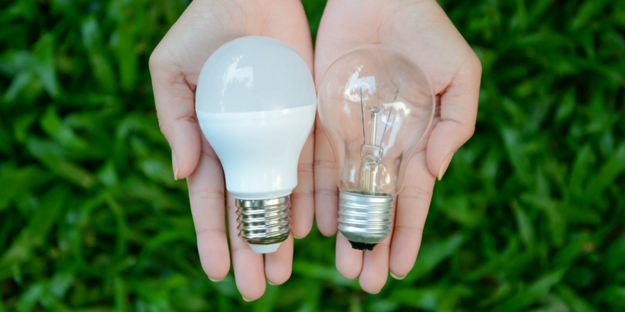 Incandescent lamp and LED lamp