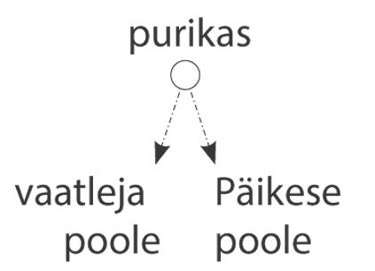 JÄÄPURIKAS joonis