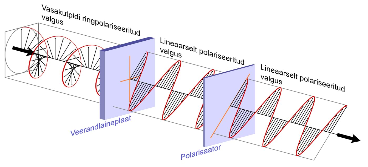 Ringpolariseeritud valgus prillidesse