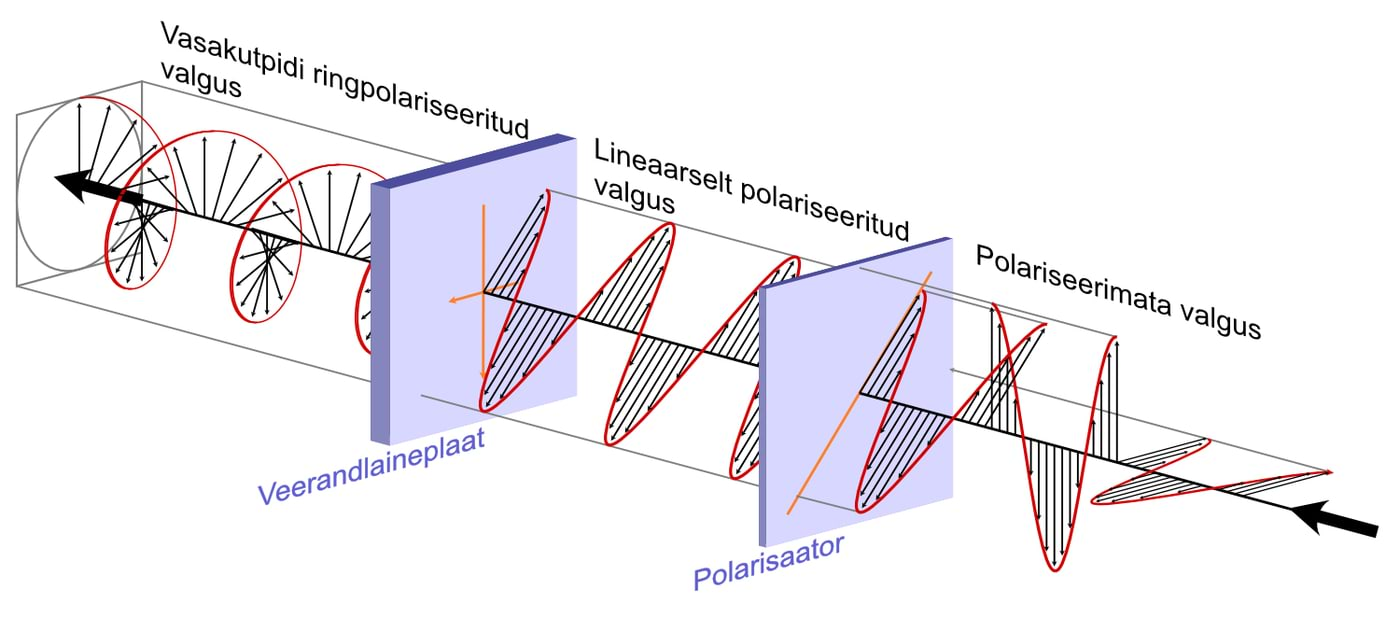 Lineaarselt polariseeritud valgus prillidesse