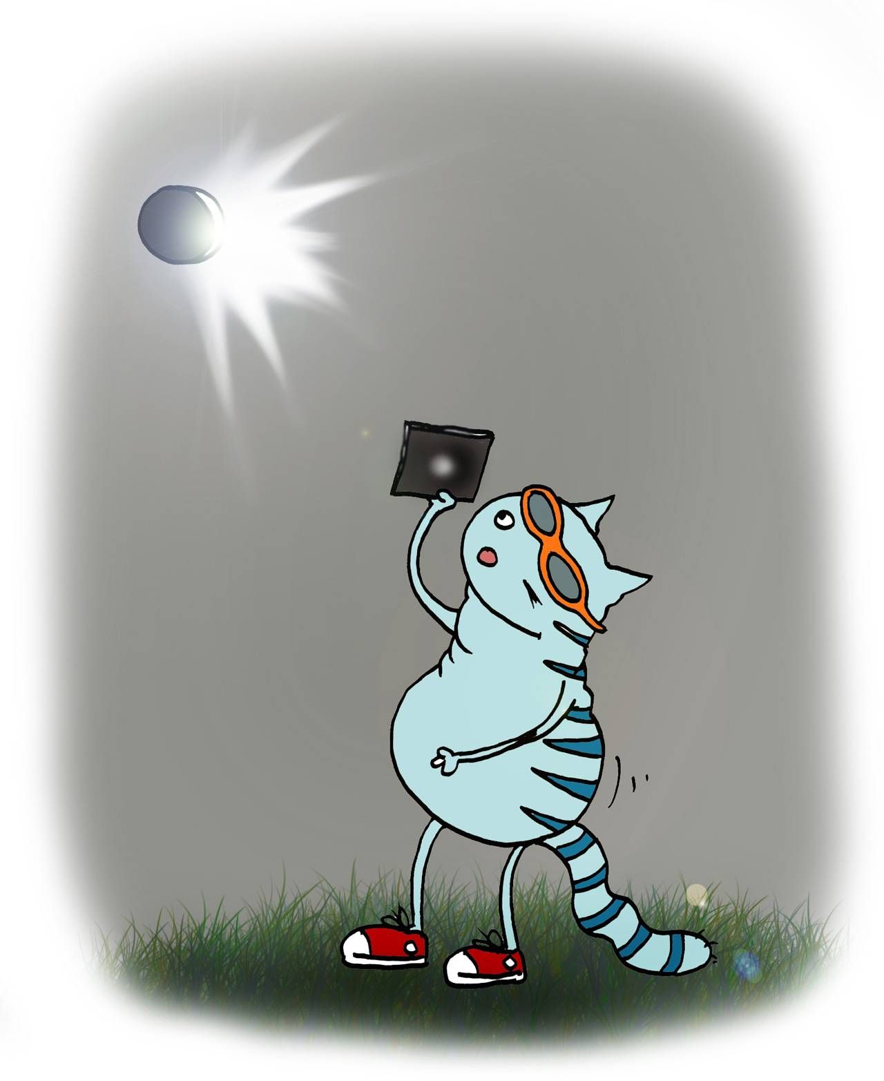 Kass vaatleb päikesevarjutust (kassipilt)