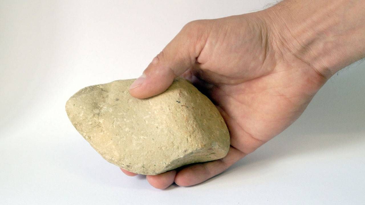 Kivi kellegi käes