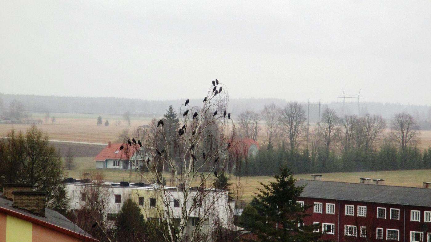 Hakid kogunevad<br>