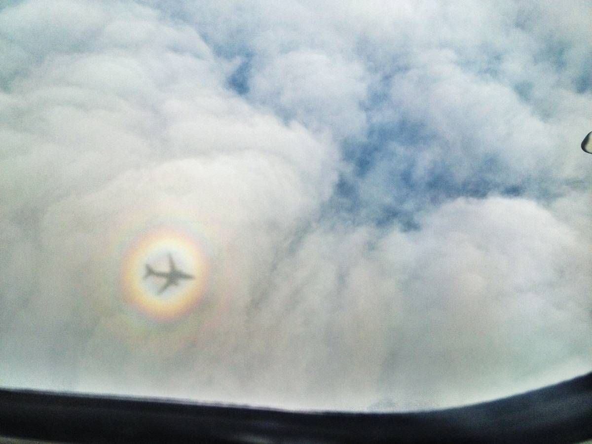 Lennuki halo