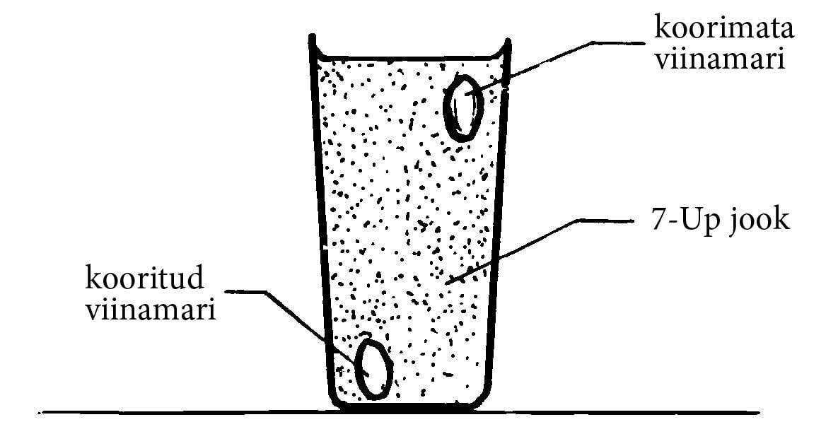 Kumb viinamari on raskem? Joonis