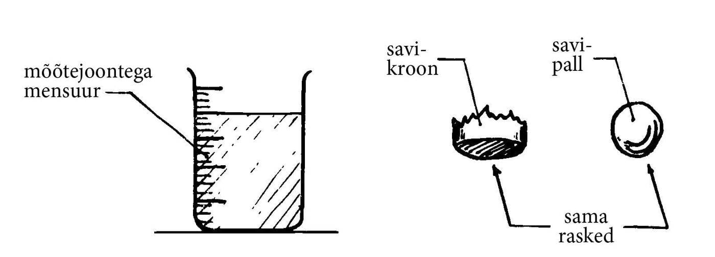 Kas kroon on puhtast plastiliinist? Joonis