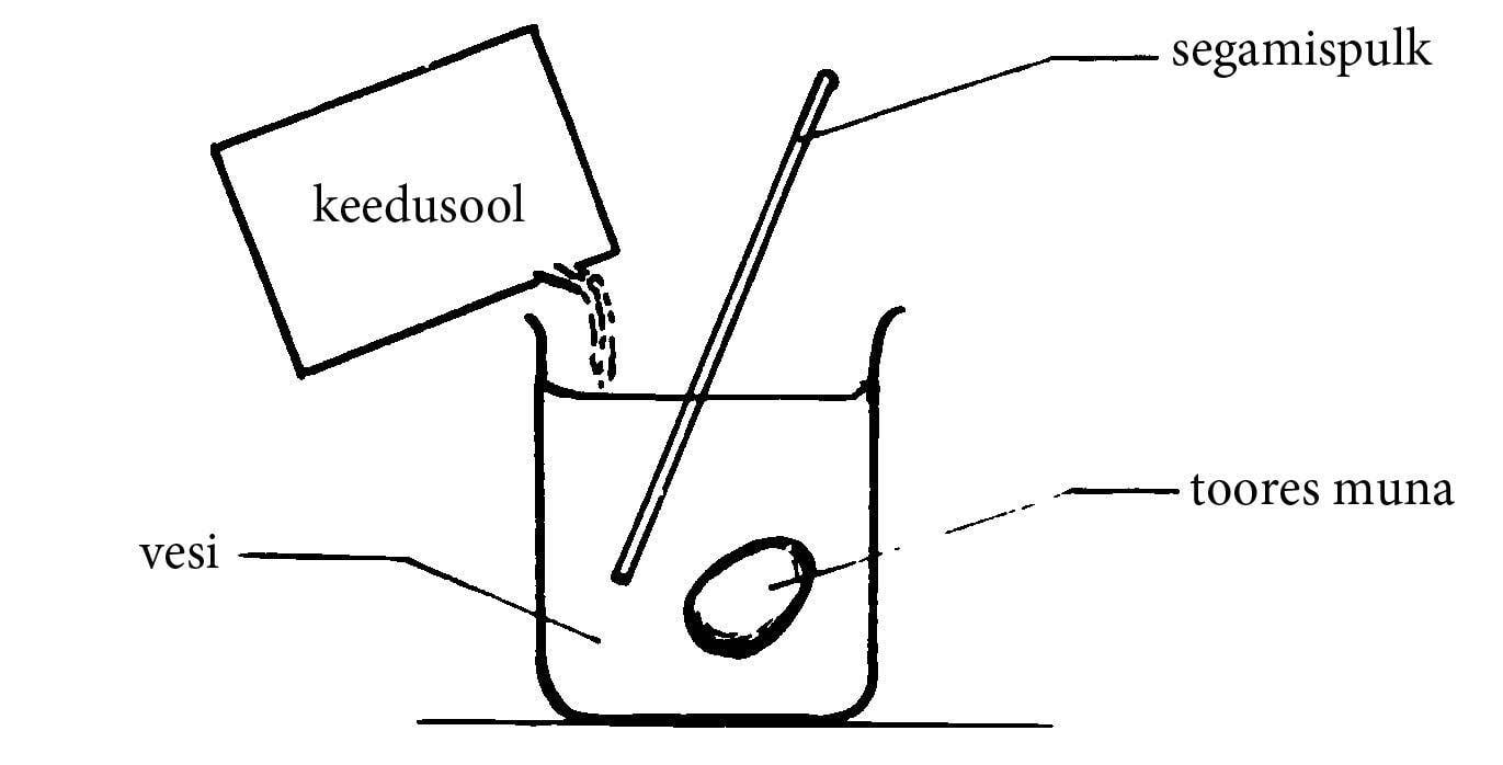 Pane muna soola abil hõljuma, joonis