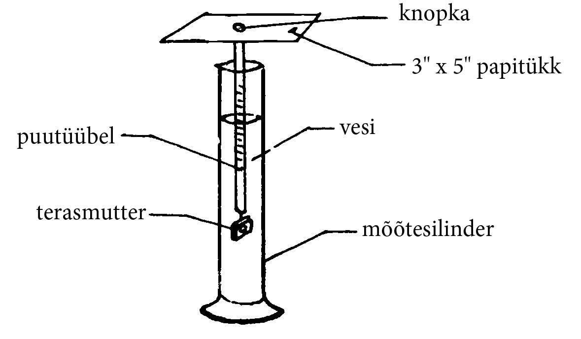 Ehita ise kaal, joonis