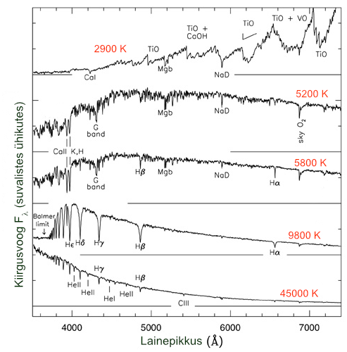 Tähe spektrid viiel erineval temperatuuril