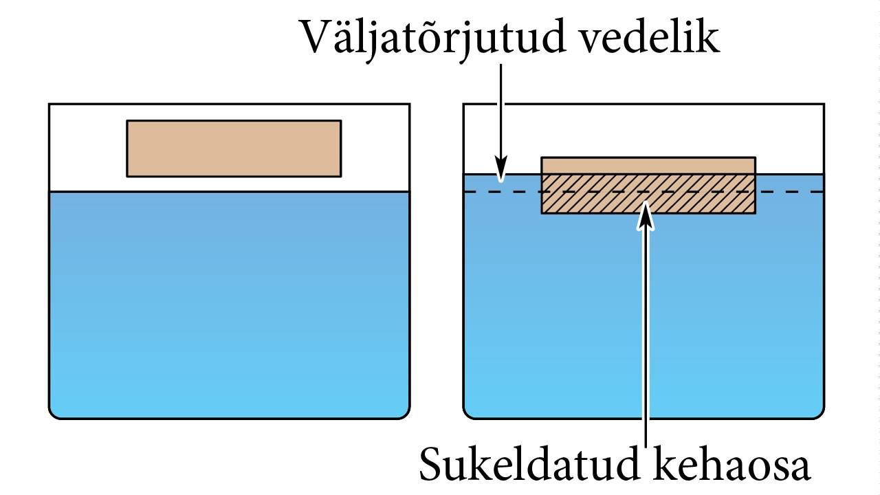 Klots ujub