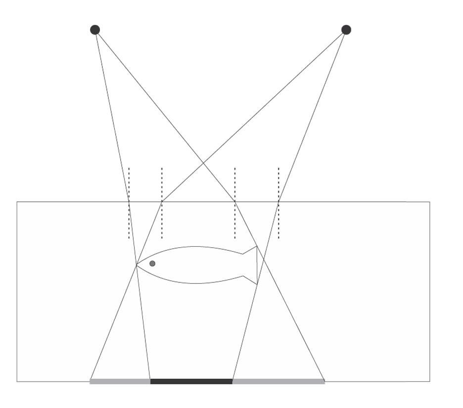 Solution drawing