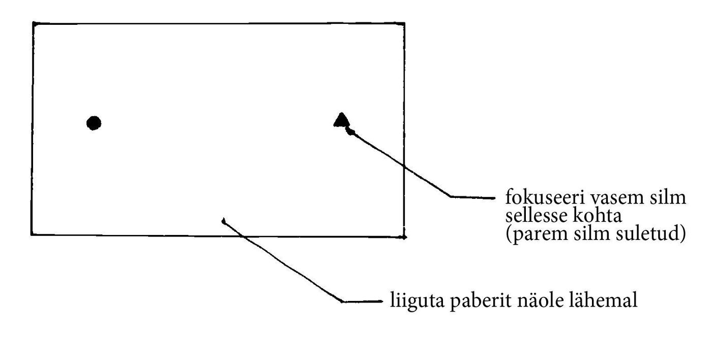 52202