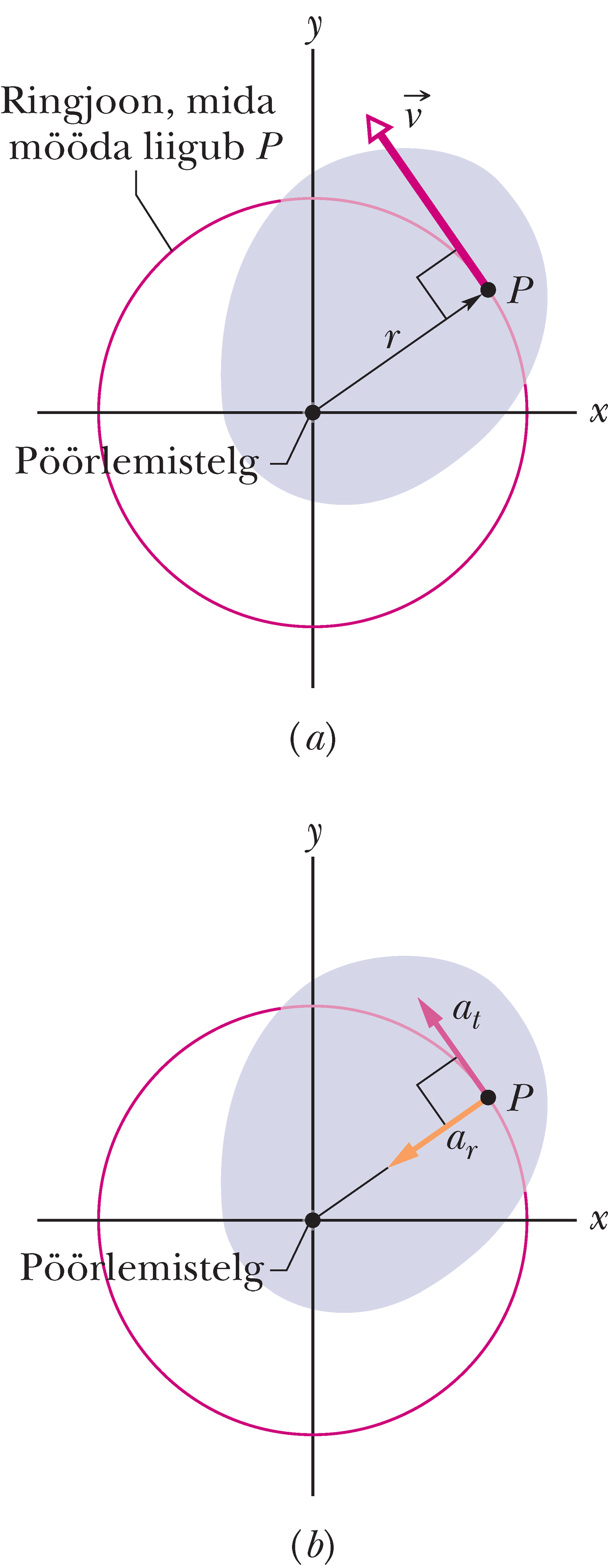 Pöörleva keha ristlõige, vaadatuna ülalt telje suunas