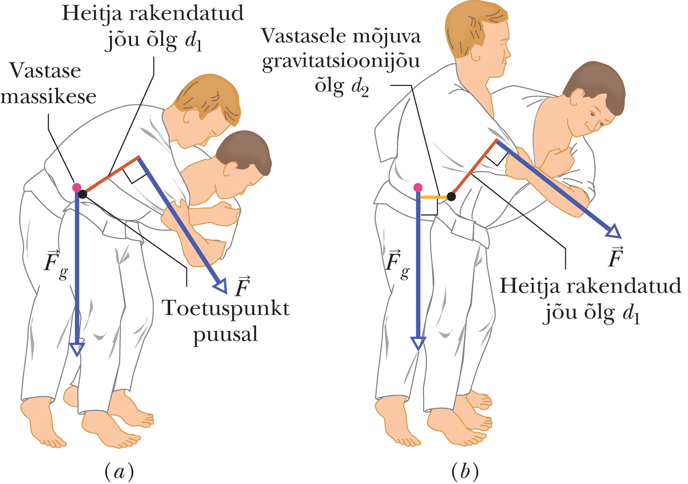 Judomaadleja teeb heite