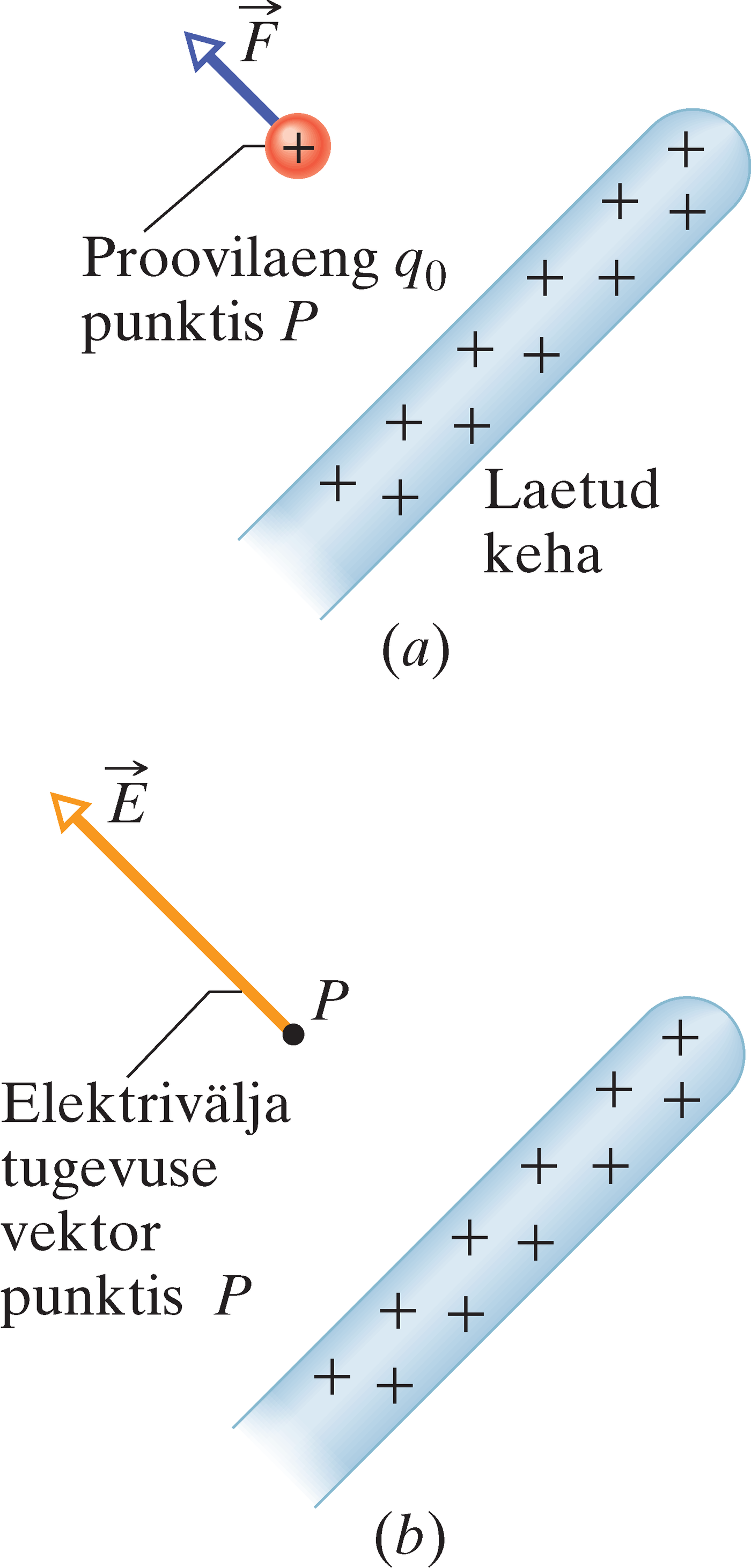 Proovilaeng laetud keha läheduses