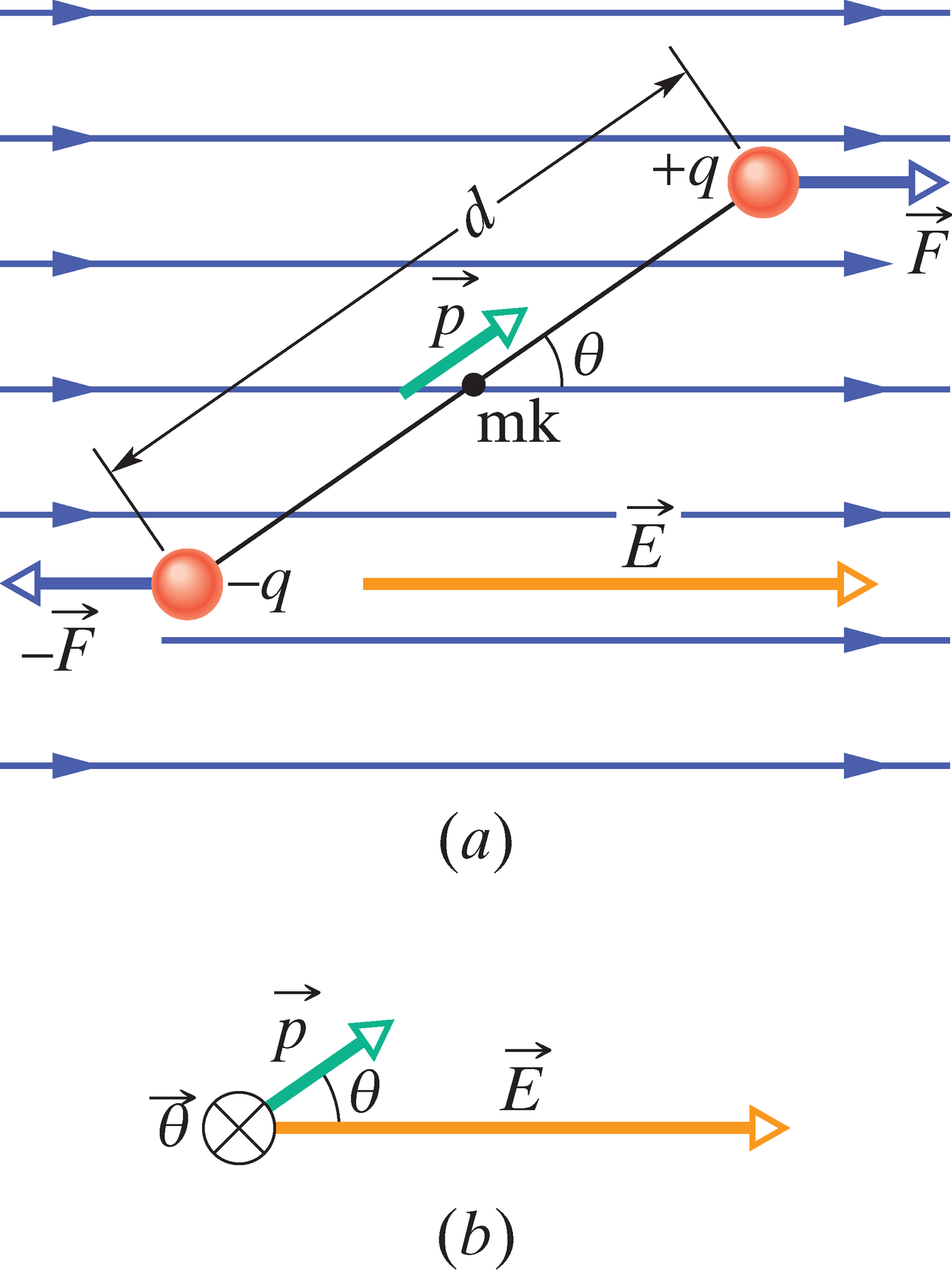Elektriline dipool välises ühtlases elektriväljas