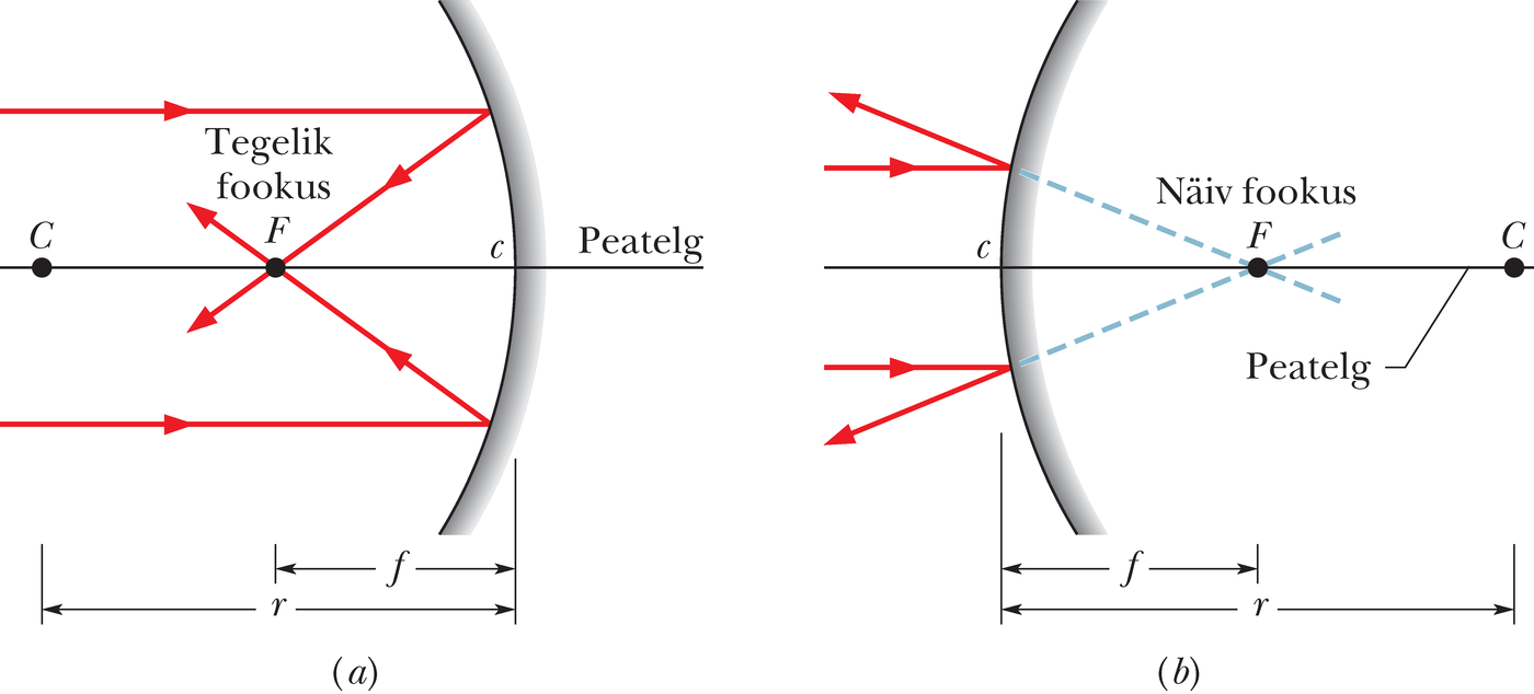 Paralleelne kiirtekimp langeb nõguspeeglile ja kumerpeeglile