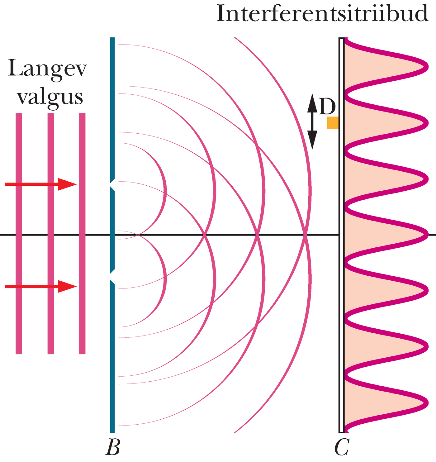 Valgus on suunatudsirmile, millesse on tehtud kaks paralleelsetpilu