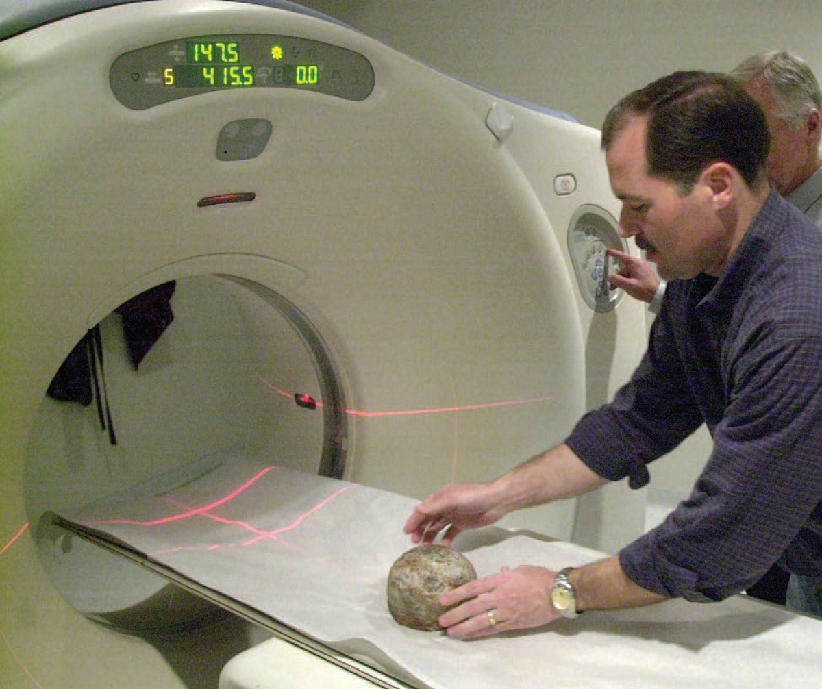 MRI-aparaati asetatakse hadrosauruse muna, et uurida selle sisemust