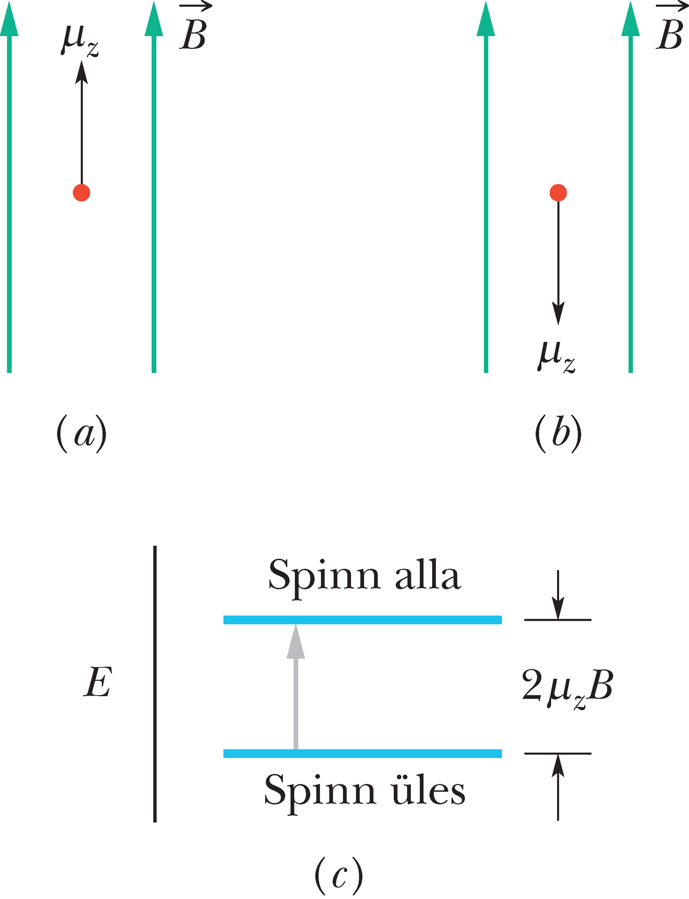 Prootoni magnetilise spinndipoolmomendi vektori z-komponent