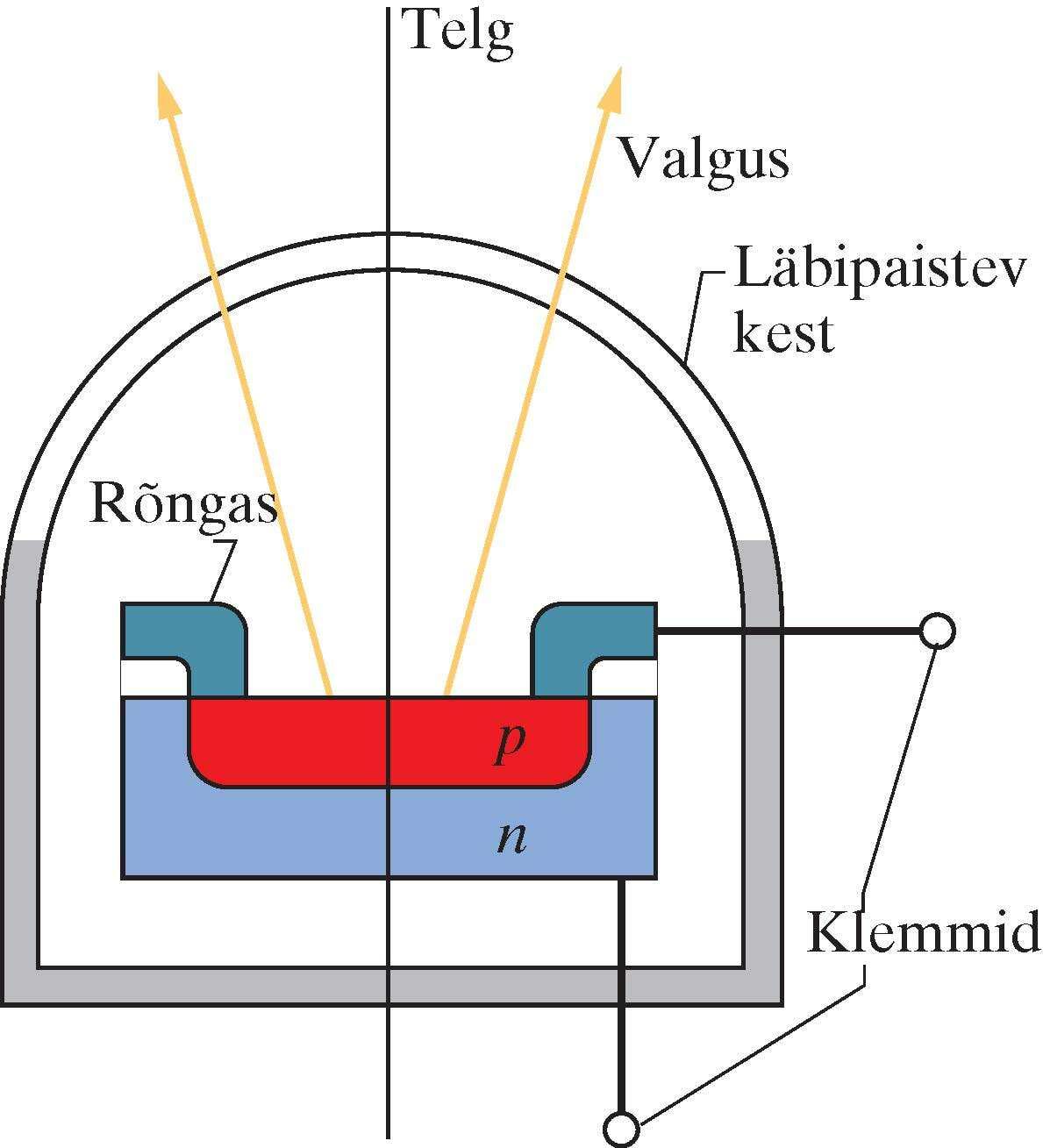 Valgusdioodi läbilõige
