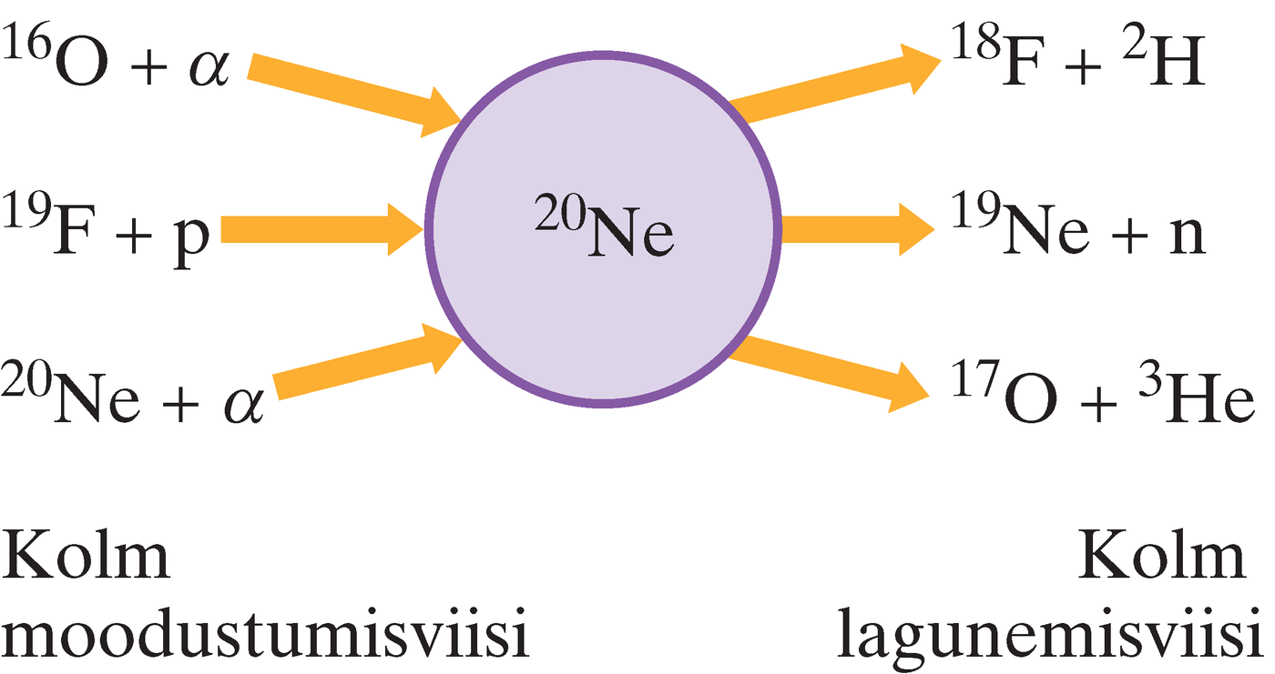 Liittuuma $^{20}Ne$ moodustumis- ja lagunemisviisid