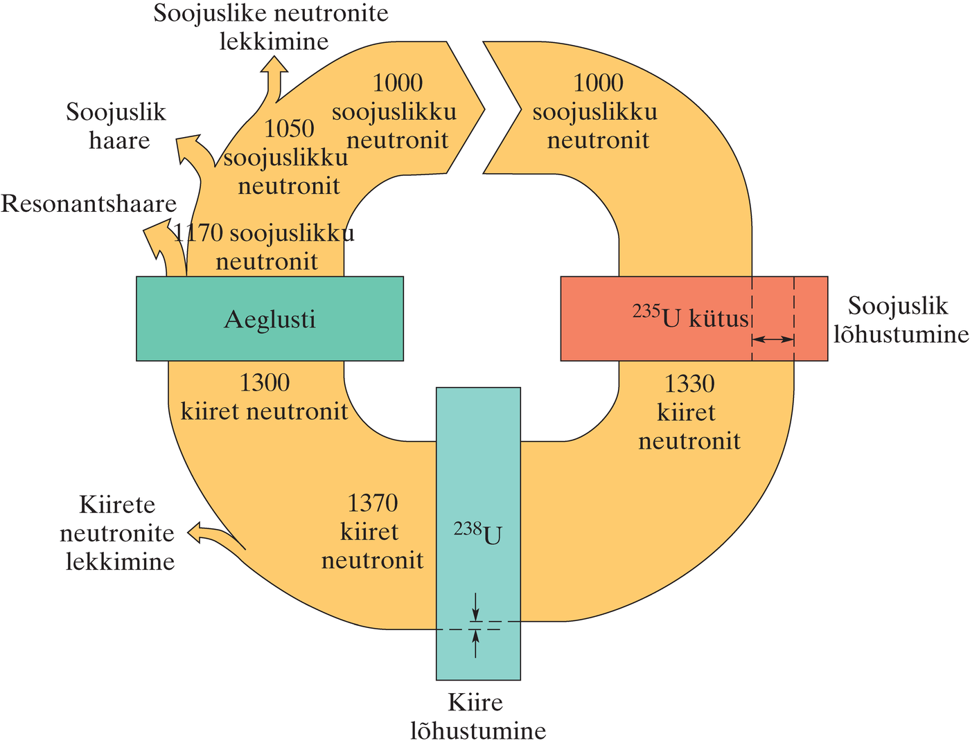 Neutronite teke ja kadu reaktoris