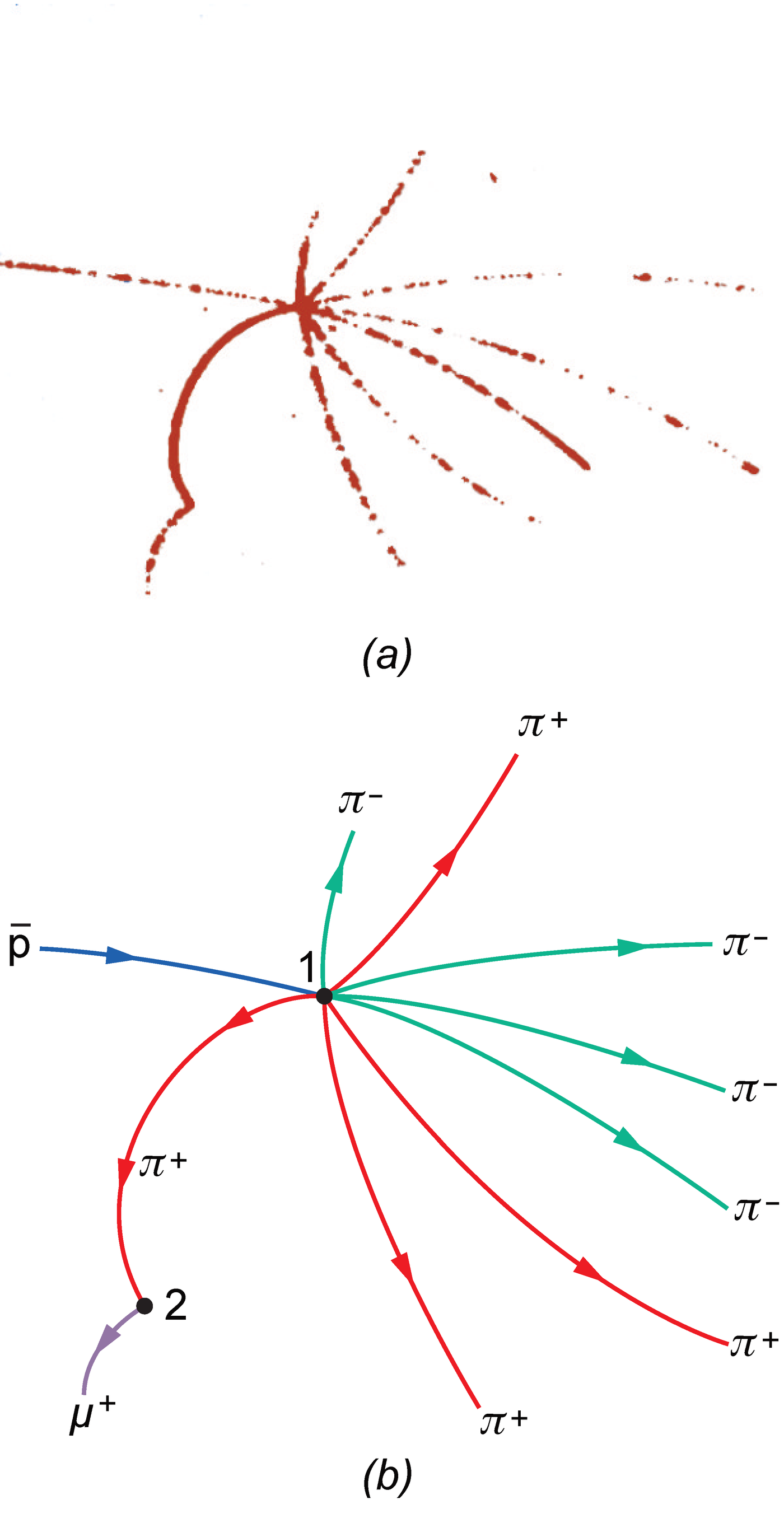 Mullikambri foto sündmuste jadast, mille käivitas kambrisse vasakult sisenev antiprooton