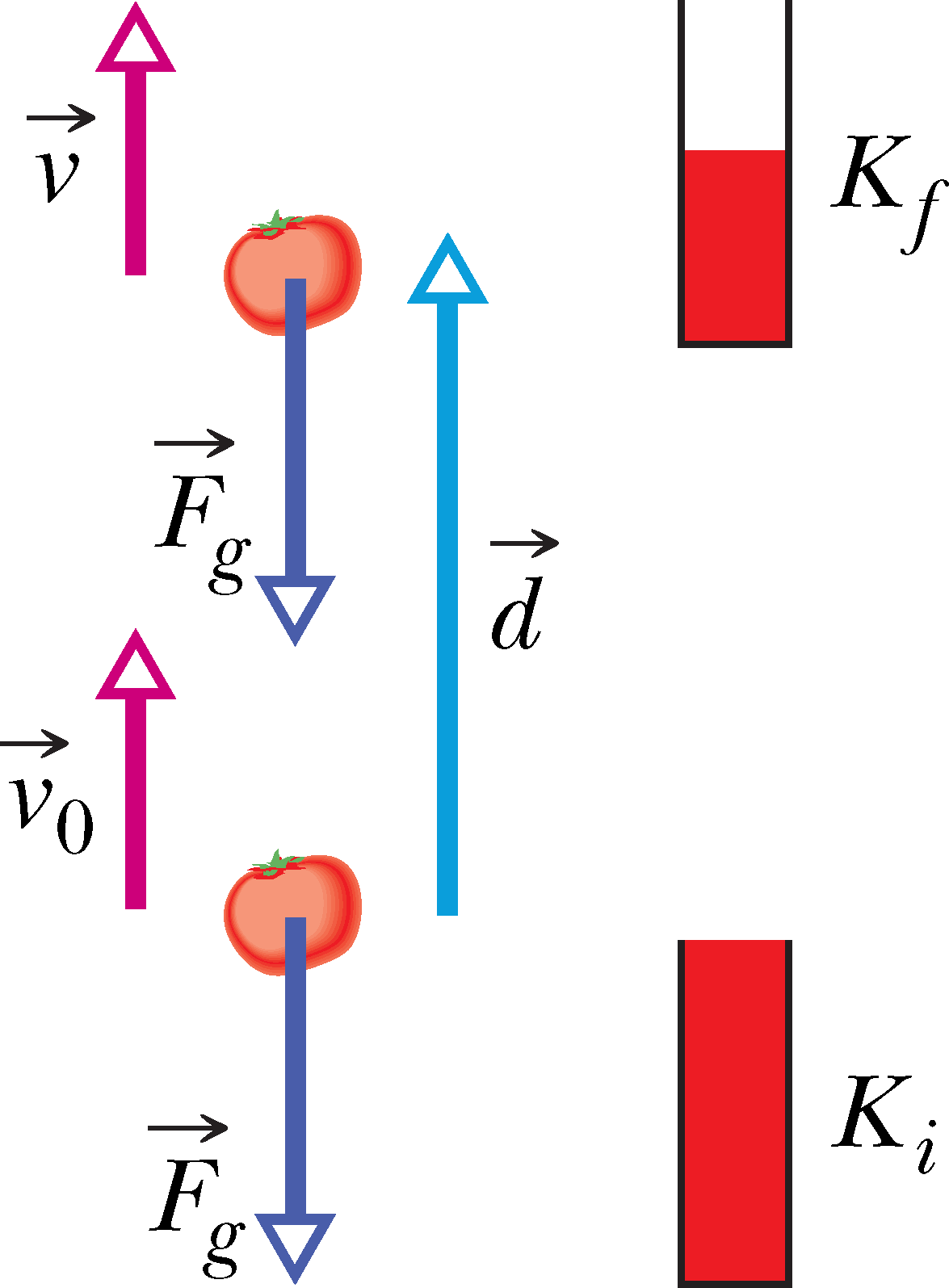 Ülespoole visatud tomati kineetiline energia