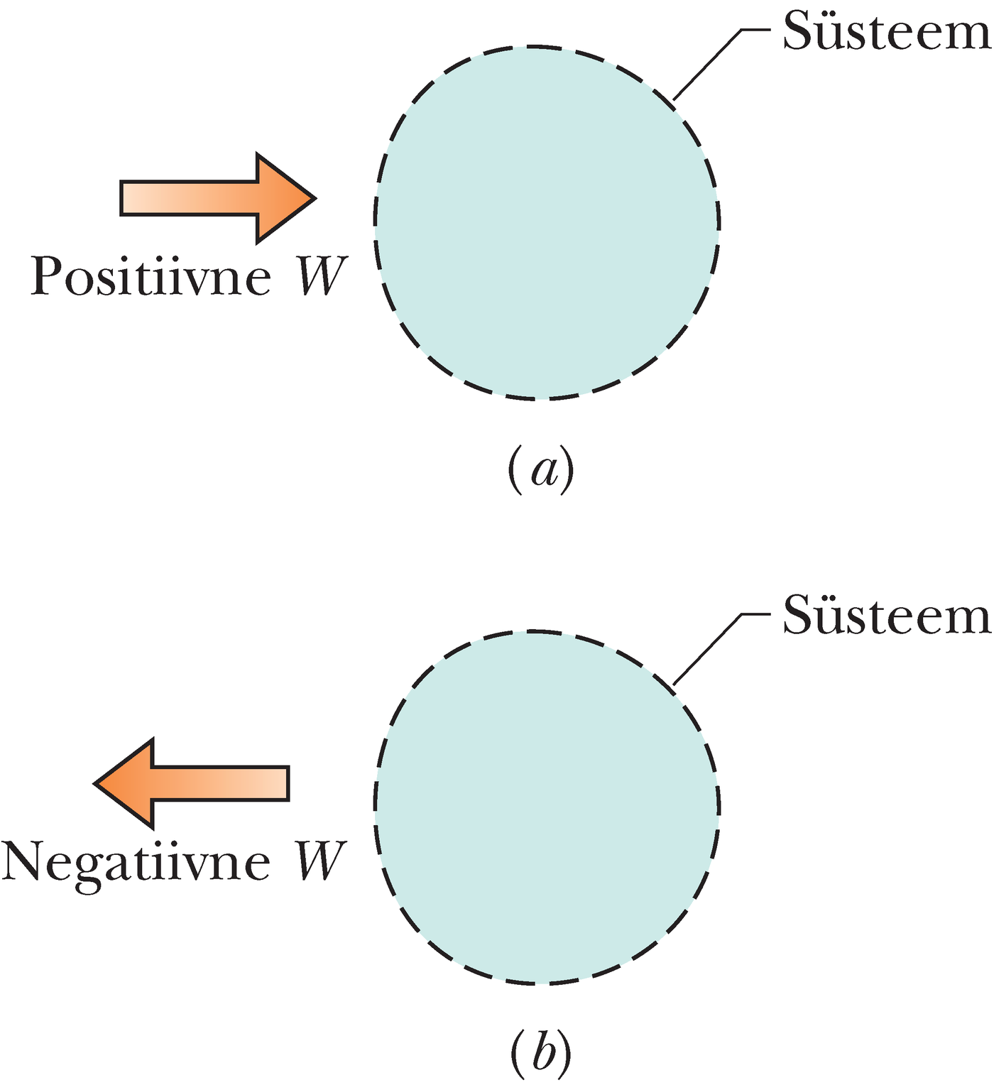 Positiivne ja negatiivne töö