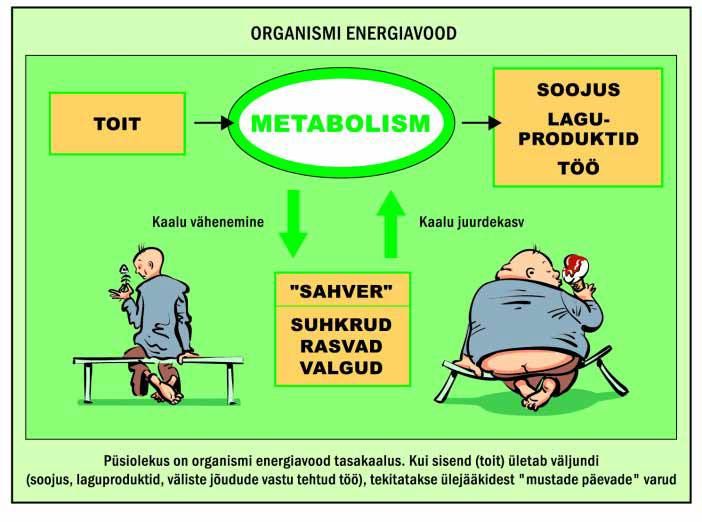 Organismi energiavood